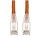 Amphenol ProLabs C-4FCAT6AS-OE