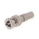 Trompeter / Cinch Connectivity Solutions PL455ACPS-201