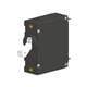 Carling Technologies AA1-B0-26-610-111-P