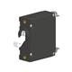 Carling Technologies AA1-B0-34-450-511-P