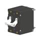 Carling Technologies AA2-B0-24-630-2B1-C