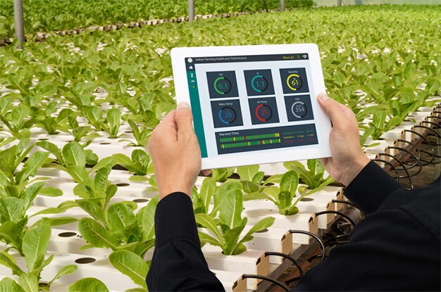 A Smarter Green Thumb Powered by Microchipの詳細を読む。