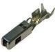 Aptiv (formerly Delphi) 15492979