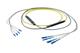 Pasternack PE3FCA241-25M
