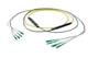 Pasternack PE3FCA244-15M