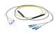 Pasternack PE3FCA245-30M