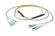 Pasternack PE3FCA248-5M