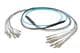 Pasternack PE3FCA436-30M