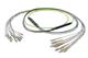 Pasternack PE3FCA448-30M
