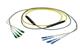 Pasternack PE3FCA551-15M