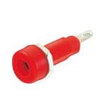 Shin Chin R1-22-R拡大された画像