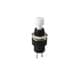 Shin Chin R13-509A-05-BW