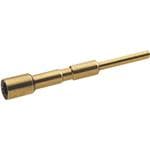 LAPP 44420103拡大された画像