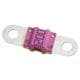 Littelfuse 153.5631.6152