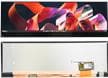 DFR1125 14" 4K IPS IPS Bar Touch Display