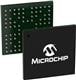 Microchip Technology ATMXT640UD-CCUBHA1
