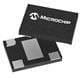 Microchip Technology DSA1522AA3A-24M00000VAO