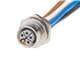 Molex 1205020024
