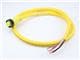 Molex 1300061160