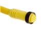 Molex 1300080157