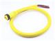 Molex 1300080231