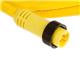 Molex 1300100238