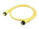 Molex 1300101639