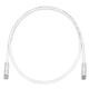 Panduit UTPSP2MY