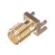 Radiall R124423243