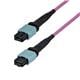 StarTech OS2MTP24BOFNP2M