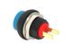 TE Connectivity / Alcoswitch PB6B2HS7M3CAL00